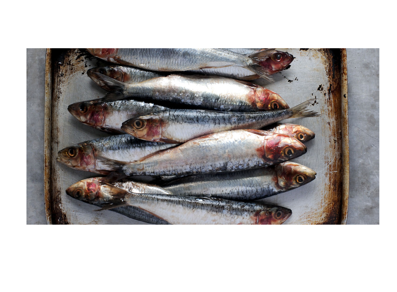 Sardines